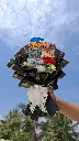 20260318_131011(0).webp